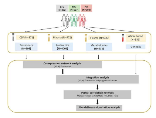 Alzhe & Demen：科学家有望利用大数据来寻找诱发阿尔兹海默病的因果信号通路