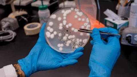 MicuRx Announces FDA Clearance of IND Application to Proceed to Phase 2a Trial of MRX-5 in Patients with Mycobacterium abscessus Pulmonary Disease