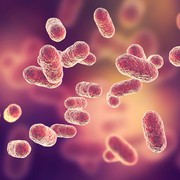 P. gingivalis Invasion Inhibitors as Antibiotic Adjuvants in Periodontitis Treatment