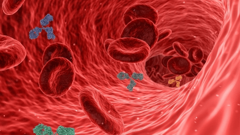 E-Star BioTech Announces Dosing of First Patient in Phase 2 Clinical Trials of MANP in Resistant Hypertension
