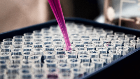 Arbor Biotechnologies to Present Preclinical Data for ABO-101 in PH1 at the American Society of Gene and Cell Therapy (ASGCT) 28th Annual Meeting