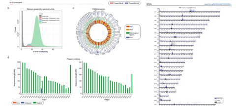Trieste, L'Aquila, Rome: the Italian genomics triangle assembles the new diploid RPE-1 genome, the missing piece for CRISPR, immediately published in California and on Nature magazine – with Dante Labs, Area Science Park, and La Sapienza University