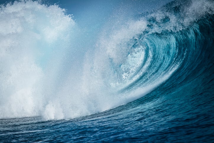 Wave surfs DMD success to regulators' doors, sending stock up