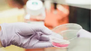 Cocrystal Pharma Receives FDA IND Clearance for Challenge Study of Oral Broad-Spectrum Protease Inhibitor CDI-988, a Potential First Antiviral for Norovirus Prevention and Treatment