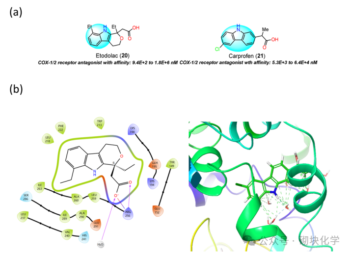 含吲哚药物结构与靶点，药理与SAR 研究归纳