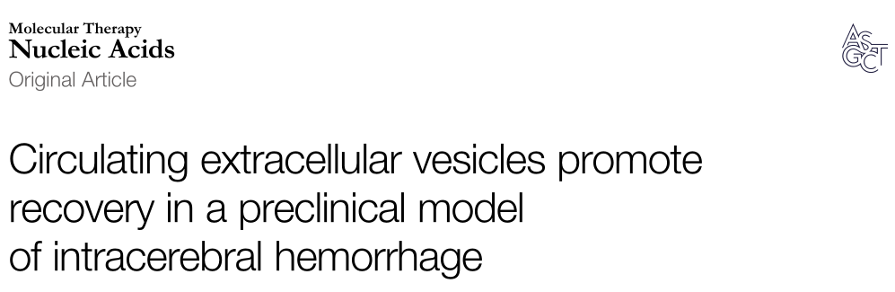 Molecular Therapy Nucleic Acids: 细胞外小泡有效改善脑出血