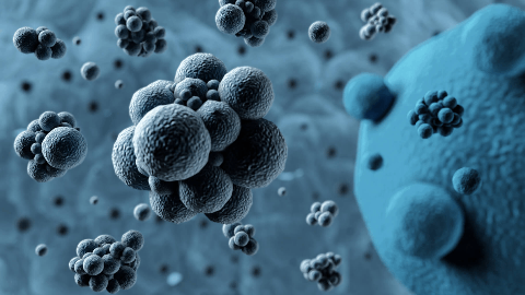 Panbela Therapeutics to Receive a Total Up to $9.5 Million for Divestiture of Assets within Eflornithine (DFMO) Pediatric Neuroblastoma Program to US WorldMeds