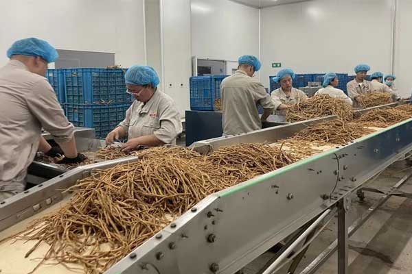 中药炮制：化“草”为“药”，奥妙在这里！