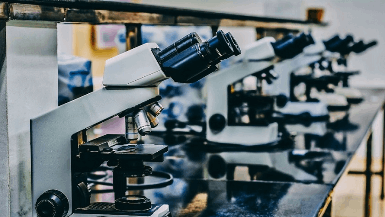 China’s National Medical Products Administration Accepts New Drug Application for VEOZA™ (fezolinetant) for the Treatment of Moderate to Severe Vasomotor Symptoms Associated with Menopause