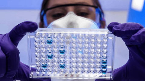 FDA clears Merck & Co.'s Welireg, Keytruda combo in adjuvant kidney cancer