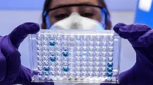 FDA clears Merck & Co.'s Welireg, Keytruda combo in adjuvant kidney cancer