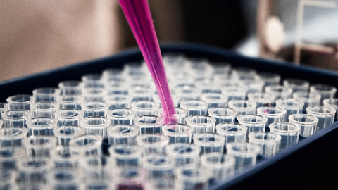 ArriVent’s Topline Pivotal Phase 3 FURVENT Data for Firmonertinib in First-Line NSCLC EGFR Exon20 Insertion Mutations is Projected to be Early 2026