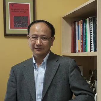 新靶点+新载体：黎松团队通过siRNA联合化疗，增强抗肿瘤免疫反应