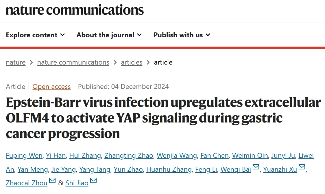 【Nature子刊】胃癌新视角：复旦大学附属中山医院发现EB病毒激活YAP信号传导的关键机制