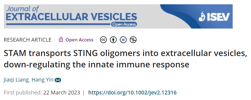 JEV：清华大学尹航团队揭示细胞外囊泡调控STING天然免疫信号通路的新机制