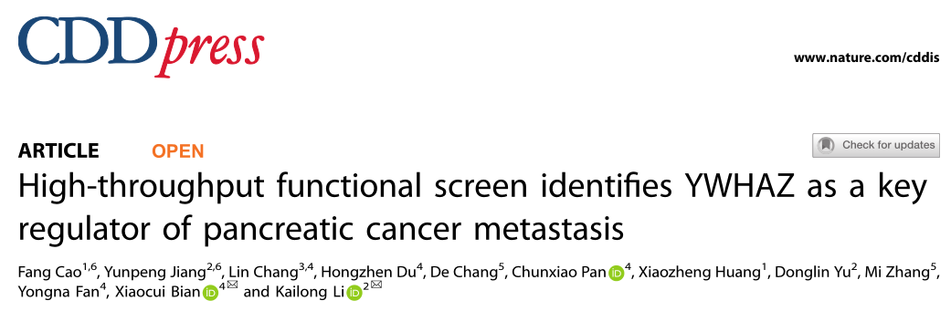 北京大学肿瘤医院与研究所研究者们揭示了YWHAZ是胰腺癌转移的关键调节因子