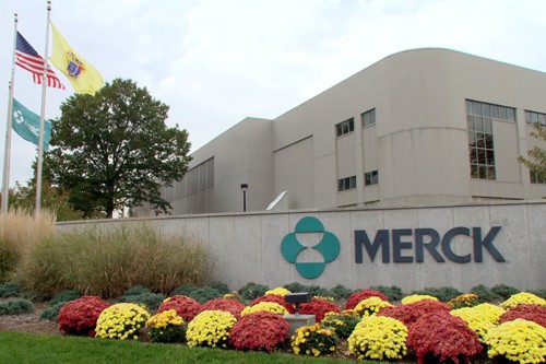 Merck’s RSV antibody for infants approved by European Commission 