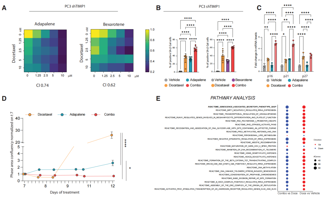 《癌细胞》：抗痘好药一转抗癌赛道！科学家发现阿达帕林能有效激活前列腺癌细胞衰老、增加NK细胞抗肿瘤活性