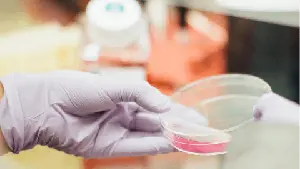 Dechra Announces FDA Approval of CosACTHen® (cosyntropin injection), the First and Only Cosyntropin Approved Specifically for Canine Patients