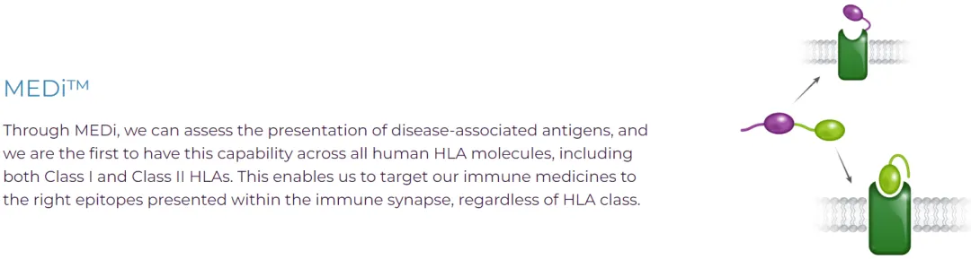18亿美元：BMS与Repertoire合作开发3款自免疫苗