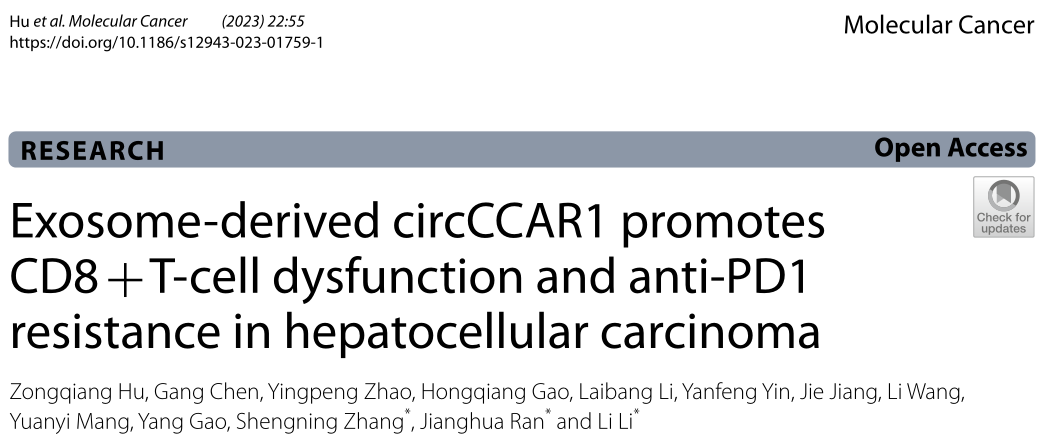 昆明医科大学的研究者们揭示了外泌体circCCAR1为HCC患者提供了一种潜在的治疗策略