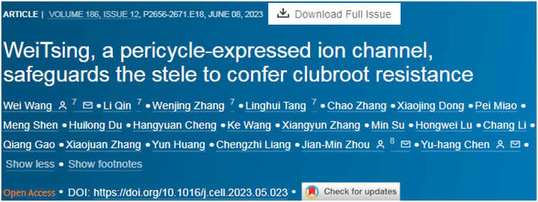 Cell：我国科学家揭示芸薹属作物抵抗根肿病的新机制