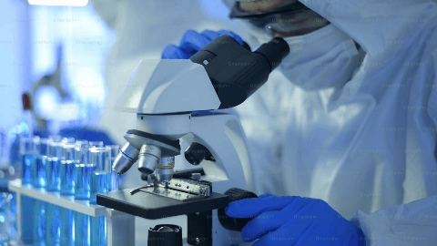 KERENDIA ®  (finerenone) Meets Primary Endpoint in Investigational Phase III FIND-CKD Study in Patients with Non-Diabetic Chronic Kidney Disease