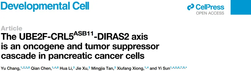 胰腺癌治疗新靶点！浙大团队发现全新促癌通路