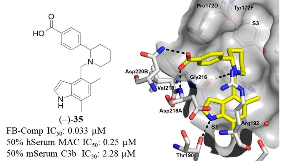First-in-class的补体因子B抑制剂Iptacopan的药物设计