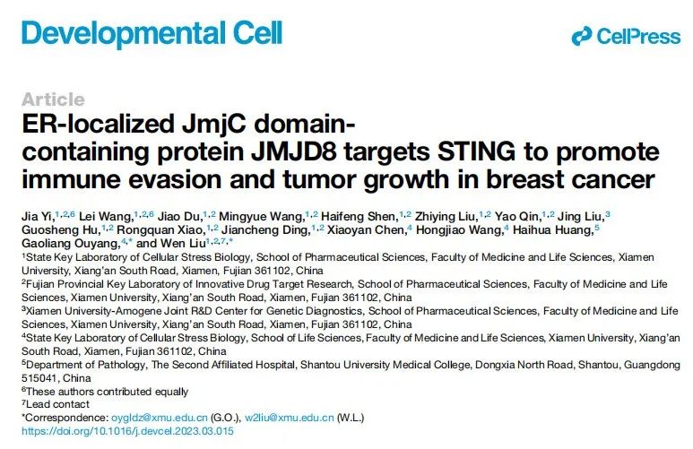 Dev Cell：厦门大学刘文/欧阳高亮团队揭示JMJD8促进乳腺癌发生发展的功能和分子机制