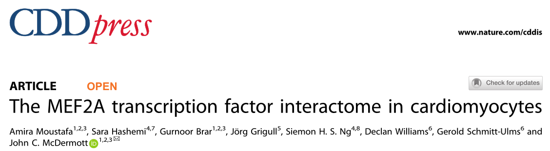 Cell Death Dis：心肌细胞中MEF2A转录因子相互作用机制的研究