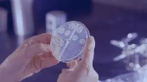 Cocrystal Pharma’s Investigational Drug Candidate CC-42344 Demonstrates Strong Antiviral Potency Against the 2024 Highly Pathogenic H5N1 Avian Influenza Strain
