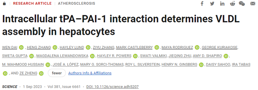 Science：揭示细胞内tPA-PAI-1相互作用决定肝细胞中的VLDL组装