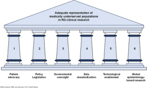 Rare Disease Research Missing the Mark on Inclusion: RDDC and IndoUSrare propose Framework for Accessible Trials