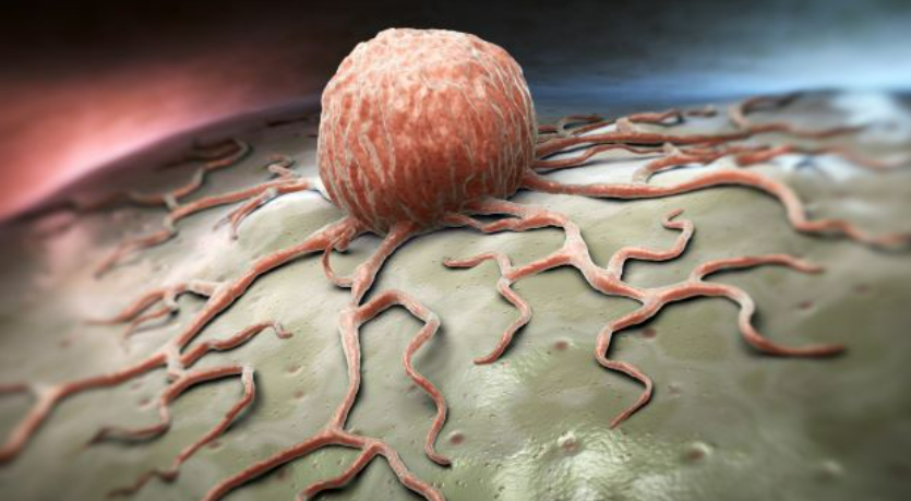 Invectys is Pioneering HLA-G Immune Checkpoint Inhibitors in Cancer Therapeutics