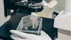 Ariceum Therapeutics Data at the 2025 European Association of Nuclear Medicine Annual Congress Further Supports the Advancement of 225Ac-SSO110 for Extensive Stage Small Cell Lung Cancer and Merkel Cell Carcinoma