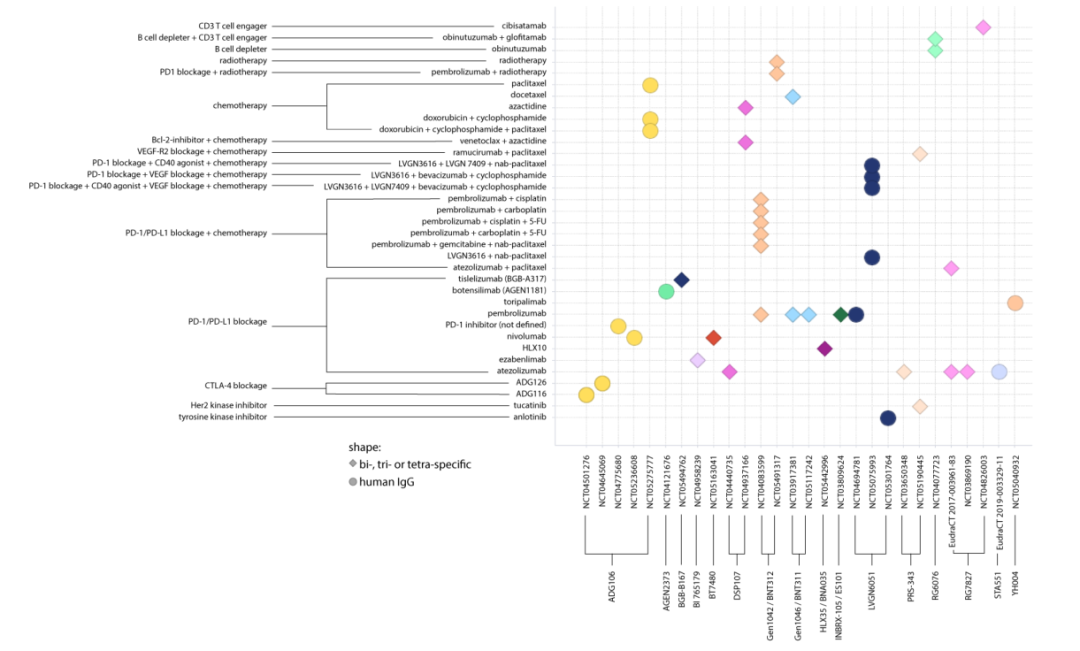 新一代4-1BB激动剂的开发 ：旨在更安全、有效