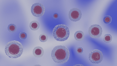 Lyell Immunopharma Announces Oral Presentation of New Clinical Data from the Phase 1/2 Trial of LYL314 for the Treatment of Large B-cell Lymphoma at the International Conference on Malignant Lymphoma (ICML) 2025