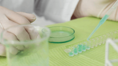 Immutep’s Efti with Radiotherapy & KEYTRUDA® (pembrolizumab) Meets Primary Endpoint in Phase II for Soft Tissue Sarcoma