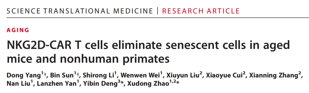 用CAR-T细胞抗衰老，华西医院赵旭东团队最新研究登上Science子刊封面