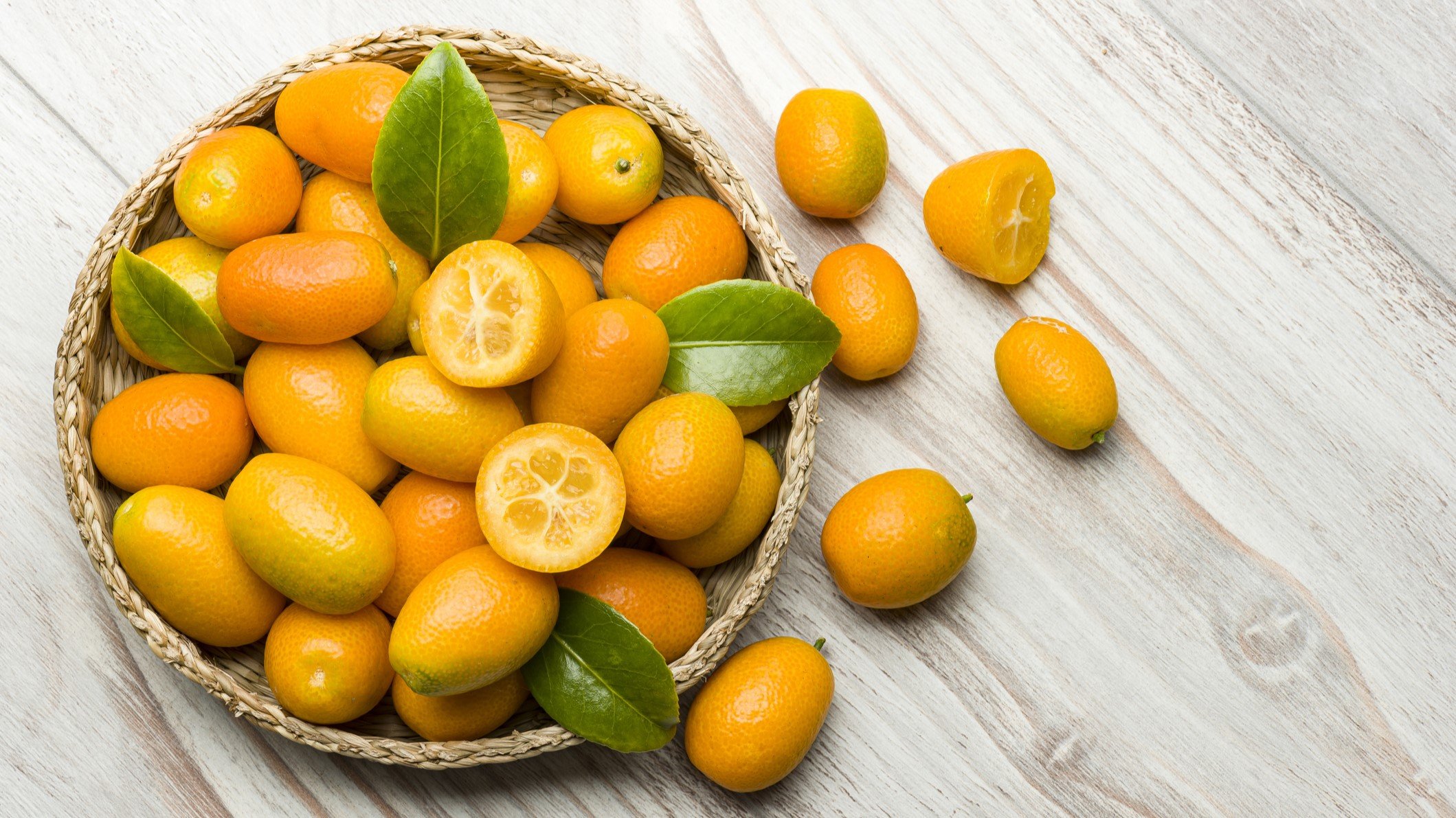 Bayer picks Kumquat for KRAS collaboration, with $1.3B on offer if pact bears fruit 