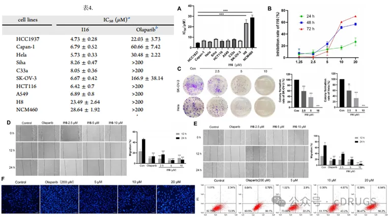 选择性PARP‑1抑制剂的设计和抗肿瘤研究