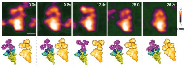 Kanazawa University research: Nanoscopic tool assesses alternative COVID-19 prevention