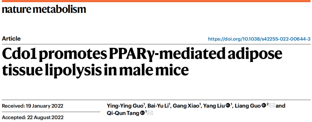 汤其群/郭亮团队发现促进脂肪燃烧的酶Cdo1，并解析其作用机制