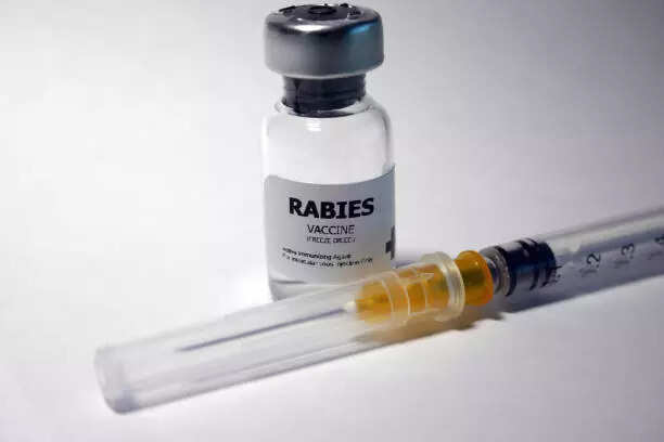 Indian Immunologicals denies Australia's alert on fake antirabies vaccine in India