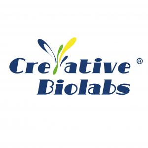Creative Biolabs Identifies Lactobacillus gasseri as a Promising Next-Generation Probiotic