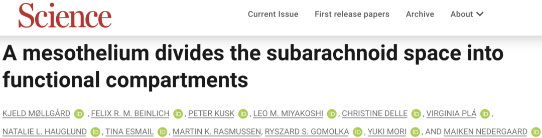 《科学》：改写教科书！科学家首次发现，人类大脑或存在第四层脑膜！