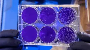 Bioxytran’s Breakthrough Broad-Spectrum Antiviral Technology Poised to Revolutionize Respiratory Infection Treatment