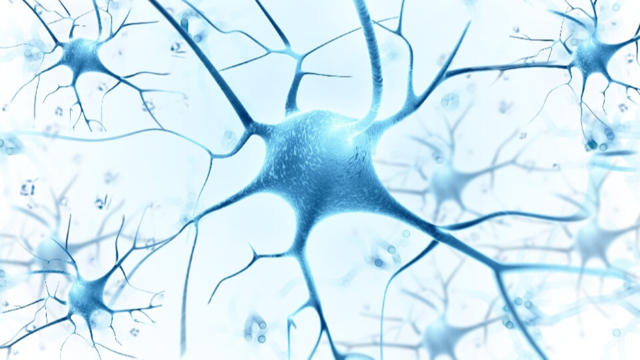 Dyne Therapeutics Receives European Medicines Agency (EMA) Orphan Drug Designation for DYNE-101