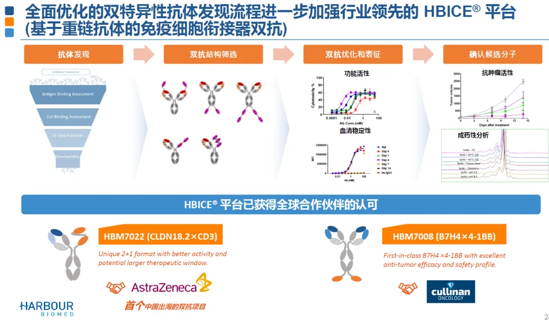 6亿美元：诺纳生物临床前抗肿瘤单抗授权给阿斯利康